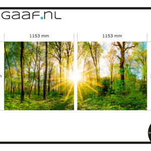 Raamfolie bos op maat 131,00 app 5606 2
