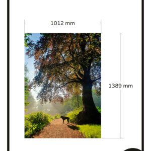 Raamfolie full colour bedrukt met eigen foto afbeelding 1x GZ 92,00 app 5967