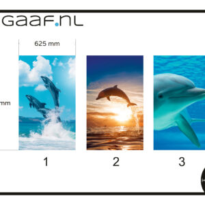 Raamfolie met 3 ontwerpen met dolfijnen