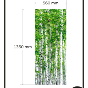 Raamfolie bomen bos berkenbomen op maat frosted privacy folie