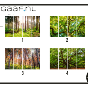 Raamfolie bos bomen full colour folie 4x FC GZ 4 ramen naast elkaar