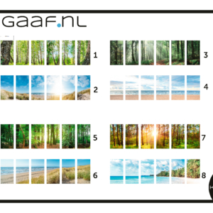 Raamfolie bos bomen landschap en zeezicht 12 x GZ folie op maat afbeeldingen aansluitend