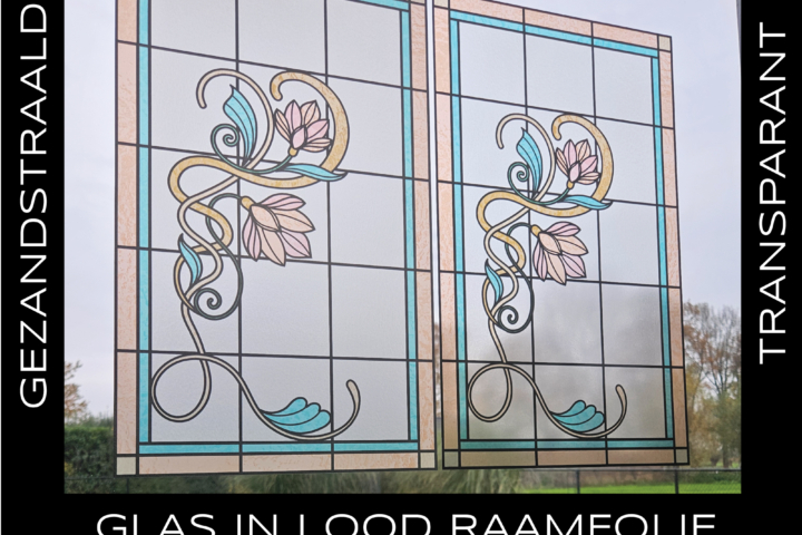 art-nouveau-raamfolie-op-maat-bloem-motief-plakfolie-glasfolie-278G